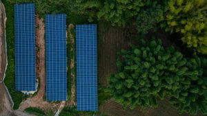 foto de uma grande rede de paineis solares ao lado de uma floresta para representar a energia verde